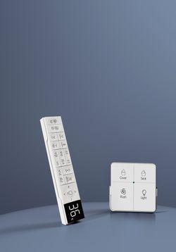 250090 -è±æ